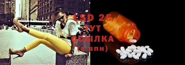 стафф Елизово