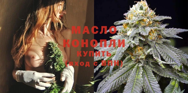 стафф Елизово