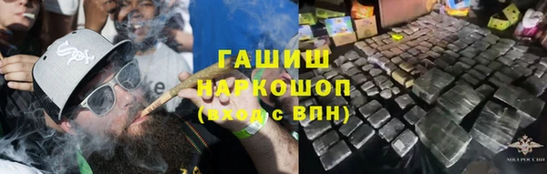 стафф Елизово
