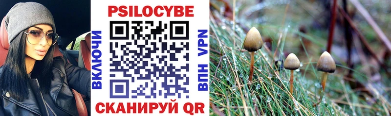 Псилоцибиновые грибы Cubensis  Кадников 